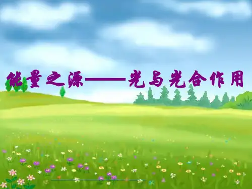 叶绿体中色素的提取和分离47733