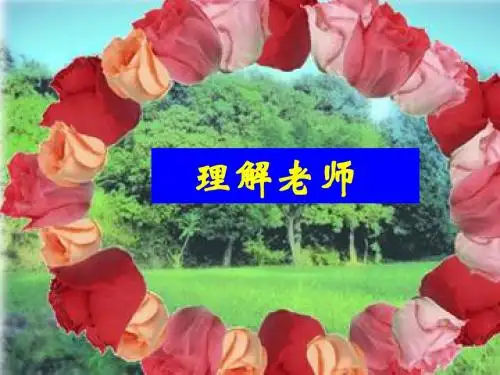 理解老师
