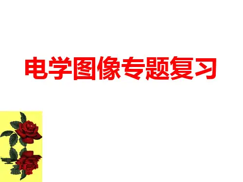 中考物理复习---电学图像专题课件