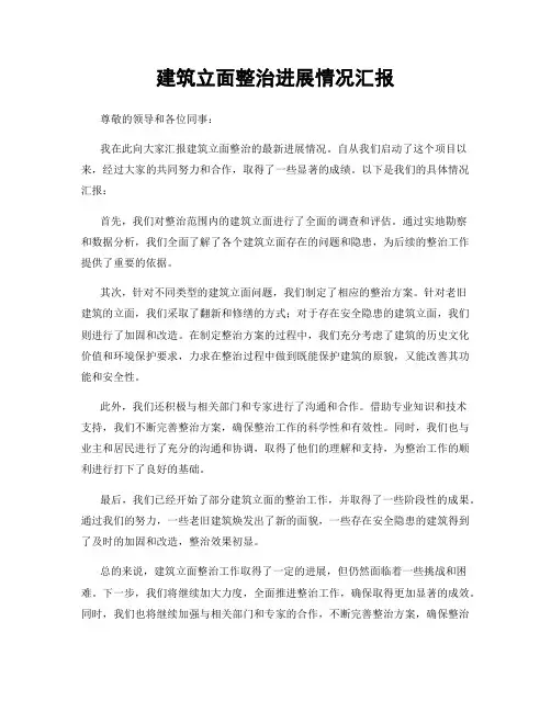 建筑立面整治进展情况汇报