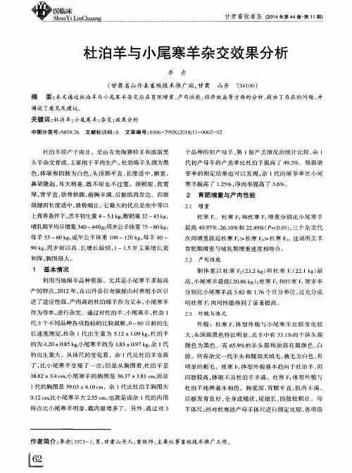 杜泊羊与小尾寒羊杂交效果分析