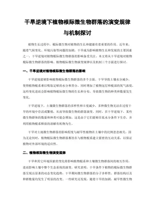 干旱逆境下植物根际微生物群落的演变规律与机制探讨