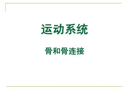 运动系统1(骨和关节)