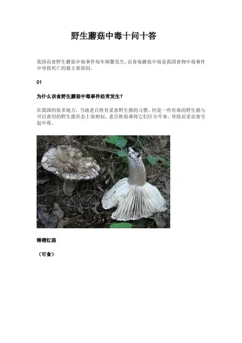 野生蘑菇中毒十问十答