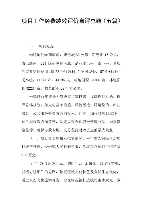 项目工作经费绩效评价自评总结(五篇)