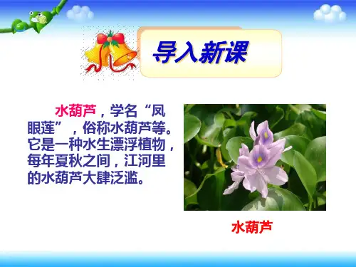 人教版高中生物选修2 第四章 生物科学与环境保护 第1节 生物性污染及其预防    名校课件【集体备课】