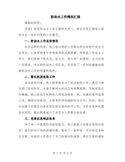 防治水工作情况汇报