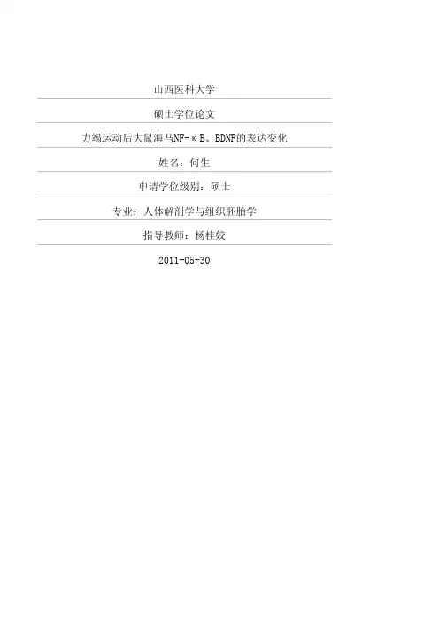 力竭运动后大鼠海马NF-κB、BDNF的表达变化