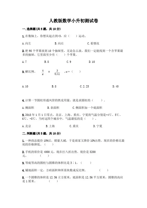 人教版数学小升初测试卷及参考答案【综合卷】