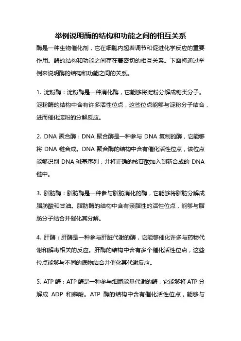 举例说明酶的结构和功能之间的相互关系