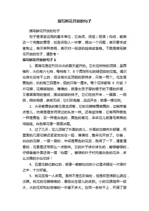 描写鲜花开放的句子