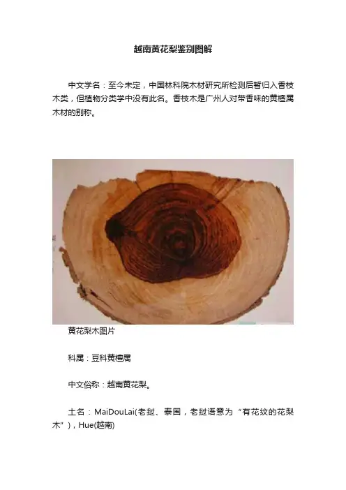 越南黄花梨鉴别图解