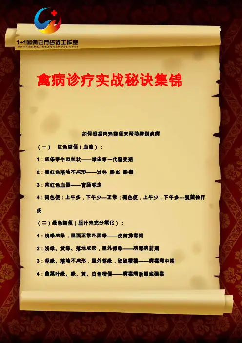如何根据肉鸡粪便来帮助辨别疾病