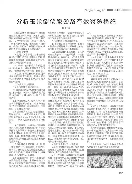 分析玉米倒伏原因及有效预防措施