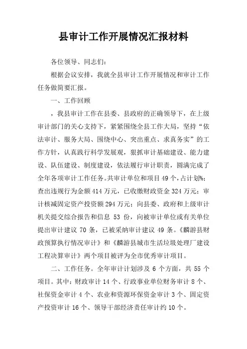 县审计工作开展情况汇报材料
