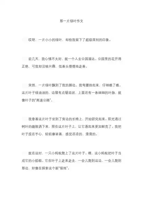 那一片绿叶作文