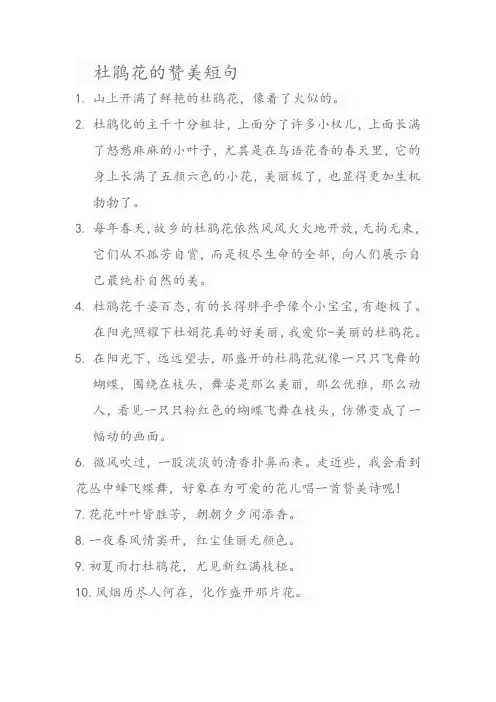 杜鹃花的赞美短句