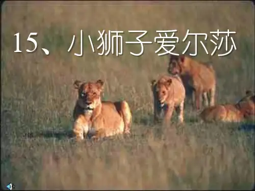 小狮子爱尔莎PPT教学课件