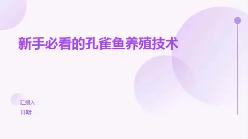 新手必看的孔雀鱼养殖技术