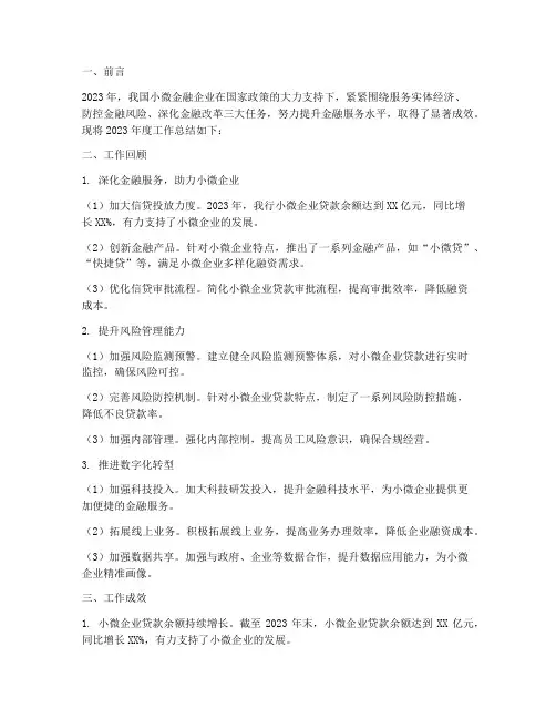 小微金融企业工作总结报告