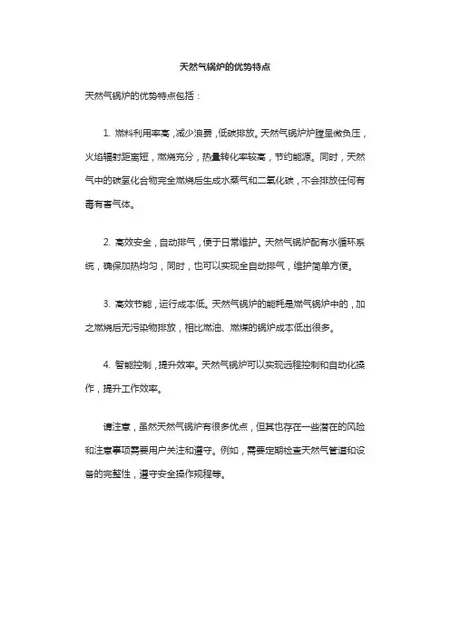 天然气锅炉的优势特点