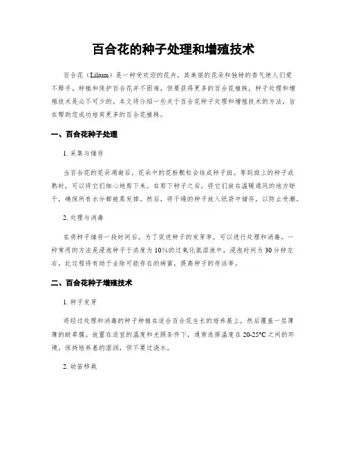 百合花的种子处理和增殖技术