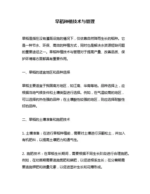 旱稻种植技术与管理