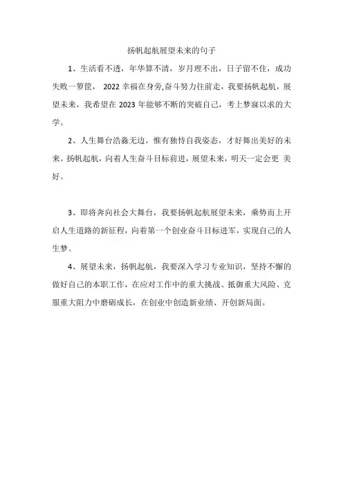 扬帆起航展望未来的句子