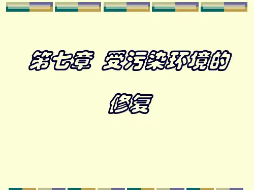 环境化学-第七章受污染环境的修复(1)分解
