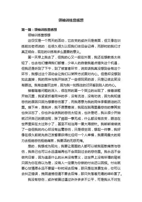 领袖训练营感想