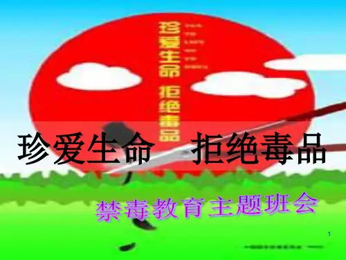 小学生禁毒教育主题班会PPT课件
