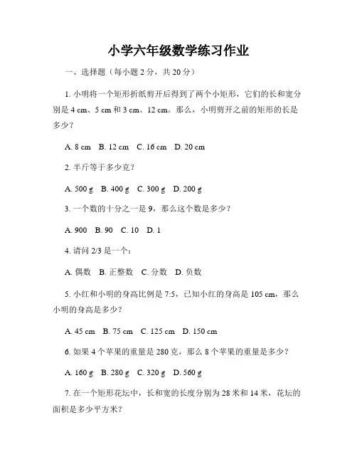 小学六年级数学练习作业
