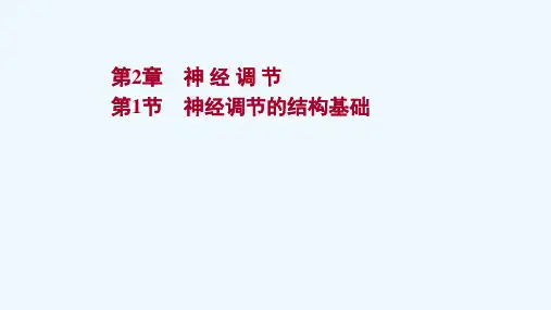 2021_2022学年新教材高中生物第2章神经调节第1节神经调节的结构基次件新人教版选择性必修第一册