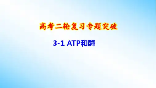 高考二轮复习专题突破：3-1 ATP和酶