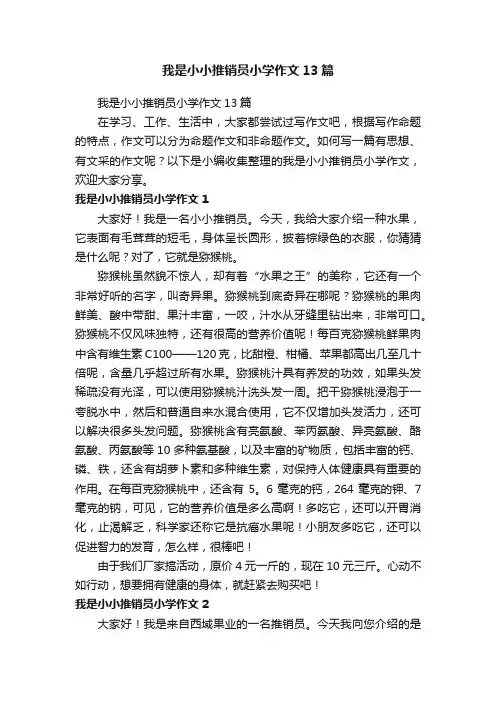 我是小小推销员小学作文13篇