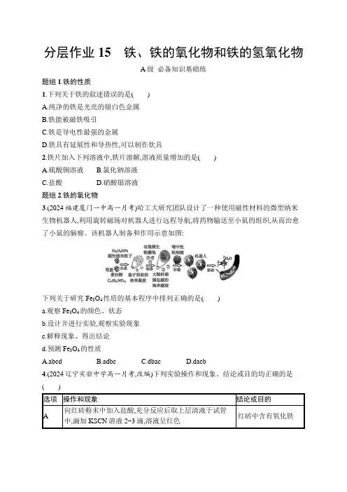 鲁科版高中化学必修第一册第3章物质的性质与转化分层作业15铁、铁的氧化物和铁的氢氧化物练习含答案