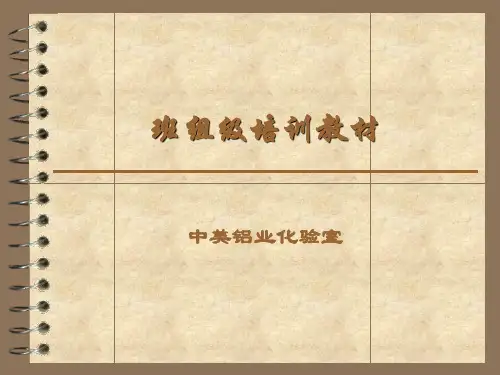 班组安全培训教材 (班组级)