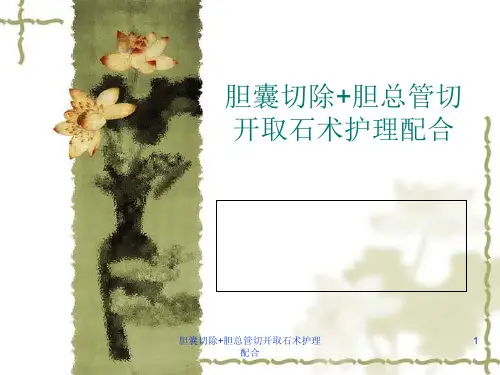 胆囊切除+胆总管切开取石术护理配合课件