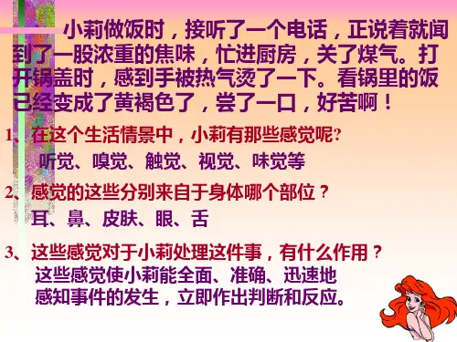 人体对信息的感知PPT课件 苏科版