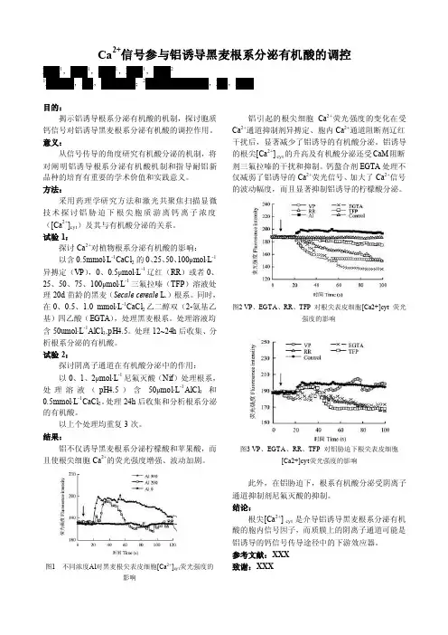 学术会议论文墙报模板
