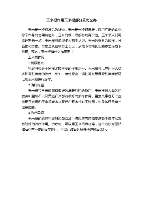 玉米根作用玉米根部分叉怎么办