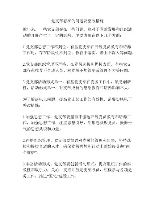 党支部存在的问题及整改措施