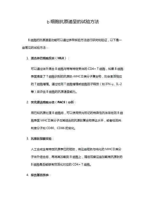 b细胞抗原递呈的试验方法