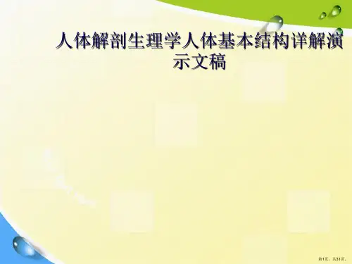 人体解剖生理学人体基本结构详解演示文稿