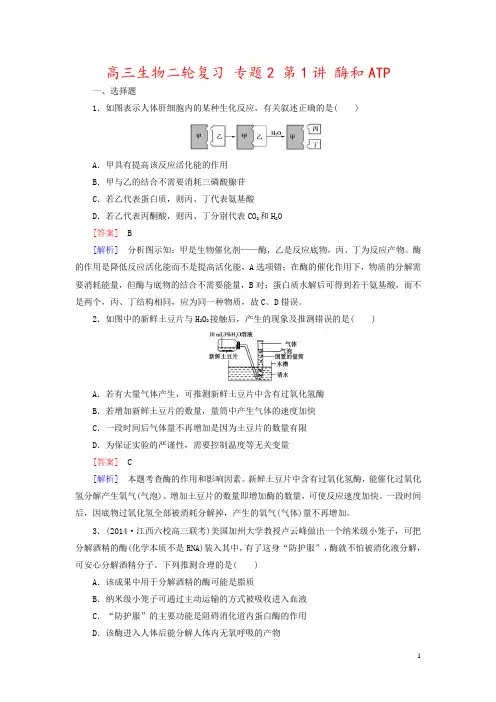 高三生物二轮复习 专题2 第1讲 酶和ATP