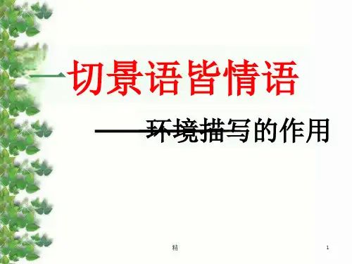 环境描写作用(孤独之旅)ppt课件