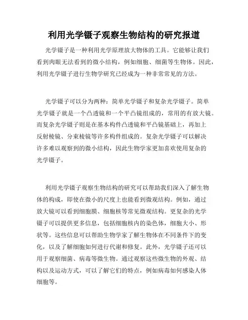 利用光学镊子观察生物结构的研究报道