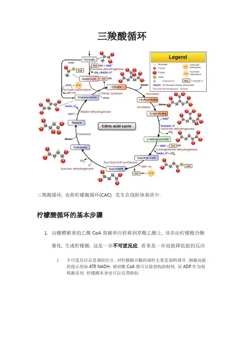 生物化学复习笔记-三羧酸循环