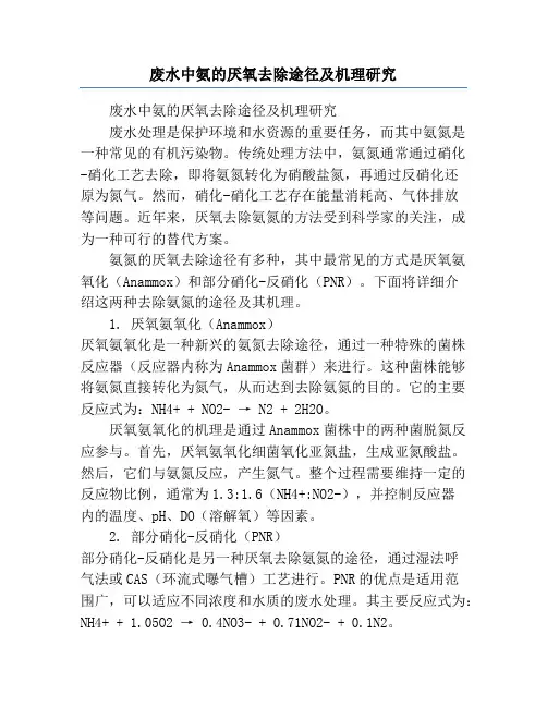 废水中氨的厌氧去除途径及机理研究