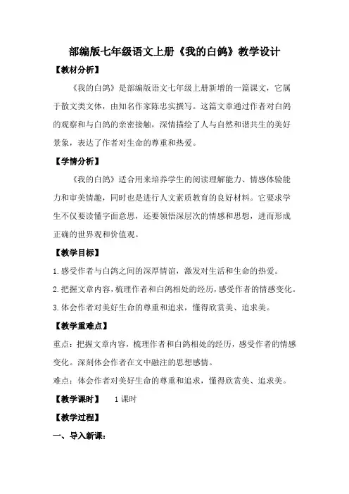 新增部编版七年级语文上册《我的白鸽》教学设计